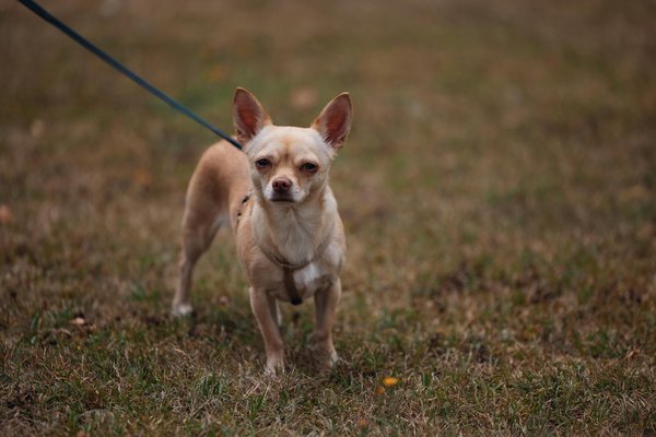 Entdecken Sie die aktuellsten Innovationen in der Produktion von atmungsaktiver Funktionsbekleidung